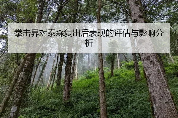 拳击界对泰森复出后表现的评估与影响分析