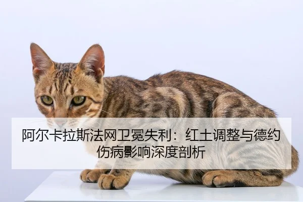 a-er-ka-la-si-fa-wang-wei-mian-shi-li-hong-tu-tiao-zheng-yu-de-yue-shang-bing-ying-xiang-shen-du-pou-xi-2-967.jpg
