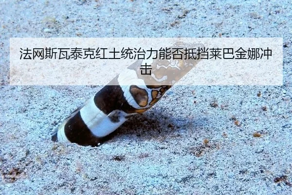 法网斯瓦泰克红土统治力能否抵挡莱巴金娜冲击